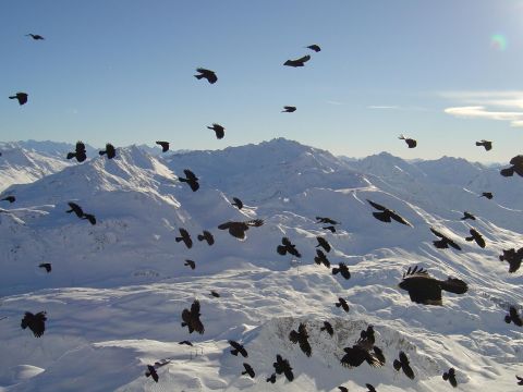 Berglandschaft St. Anton am Arlberg im Winter